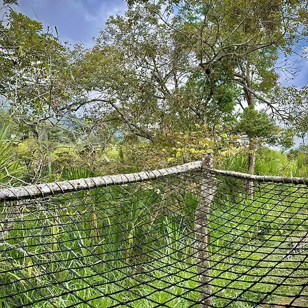 Finca Ecoparaiso Ibagué Exterior photo