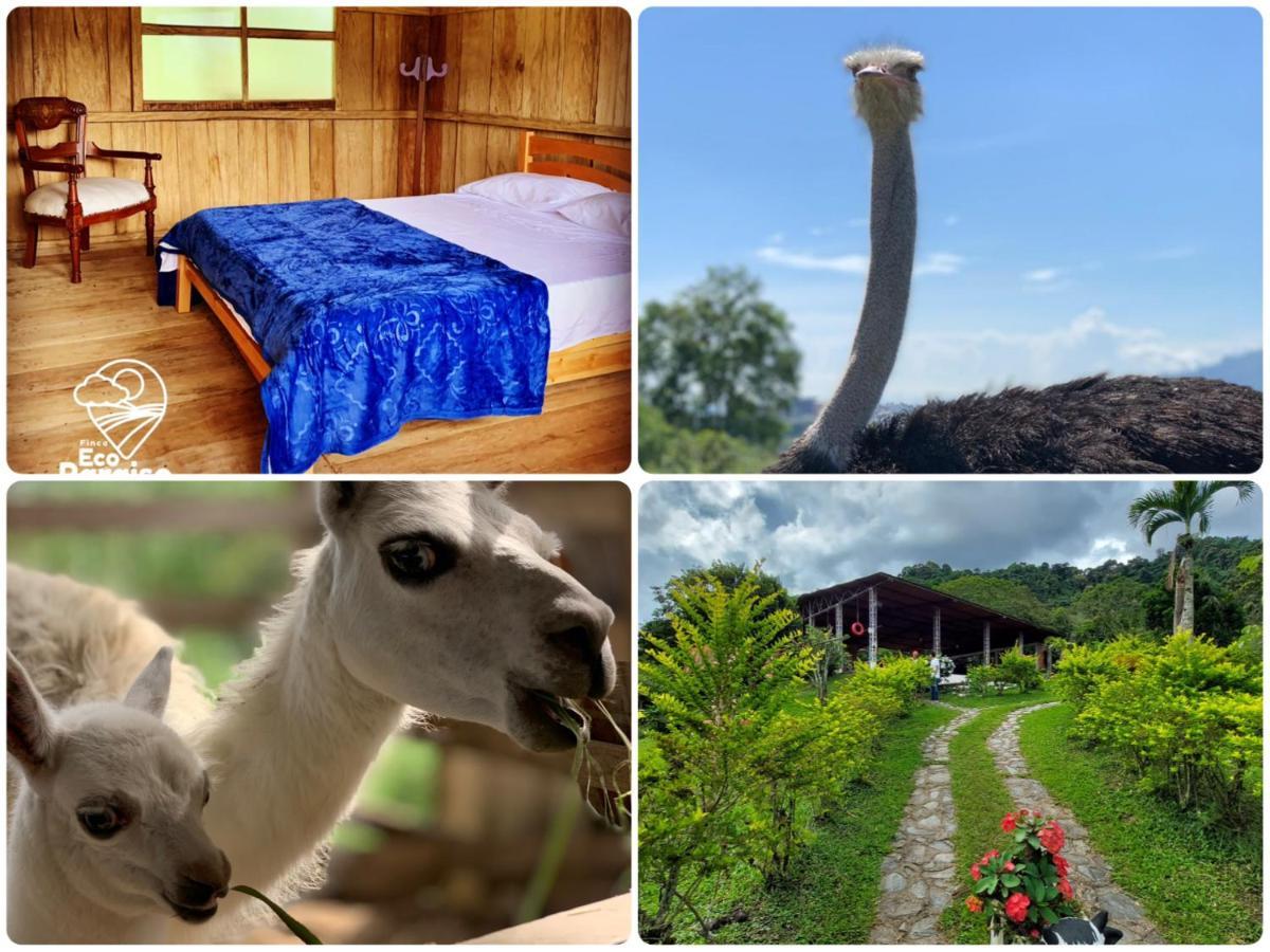 Ecoparaiso